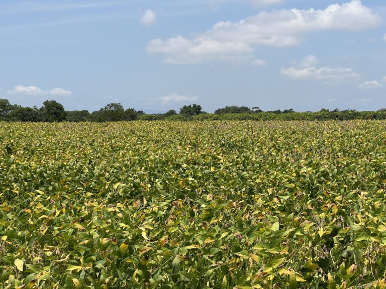 Crescimento do PIB de Minas Gerais em 2025: Alta de 1,4% e Total de R$ 1,1 Trilhão