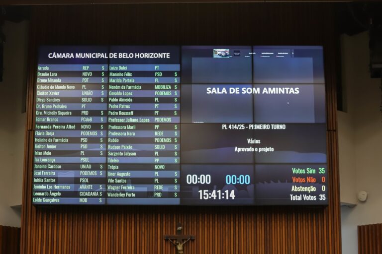Câmara de BH Aprova Projeto que Pode Impor Custos de Atendimento Médico a Agressores de Violência Do