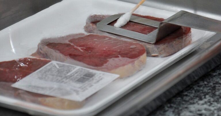 Curso on-line do Ital Foca na Vida de Prateleira de Carnes e Produtos Cárneos Curso on-line do Ital Foca na Vida de Prateleira de Carnes e Produtos Cárneos