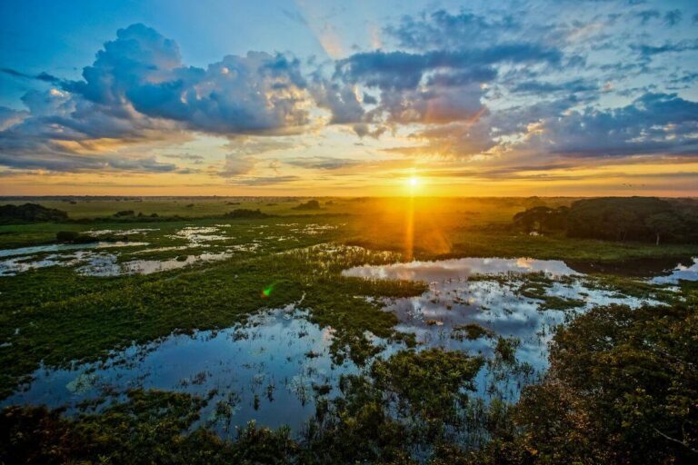 Nova Rota Aérea Liga Belo Horizonte a Campo Grande e o Pantanal