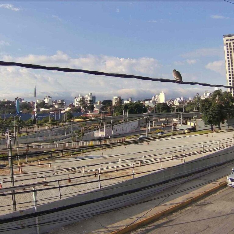 Previsão do Tempo: O Que Esperar para o Feriadão em BH e MG