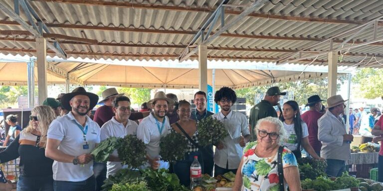 Tecnologia Sustentável Revoluciona a Agricultura em Formosa