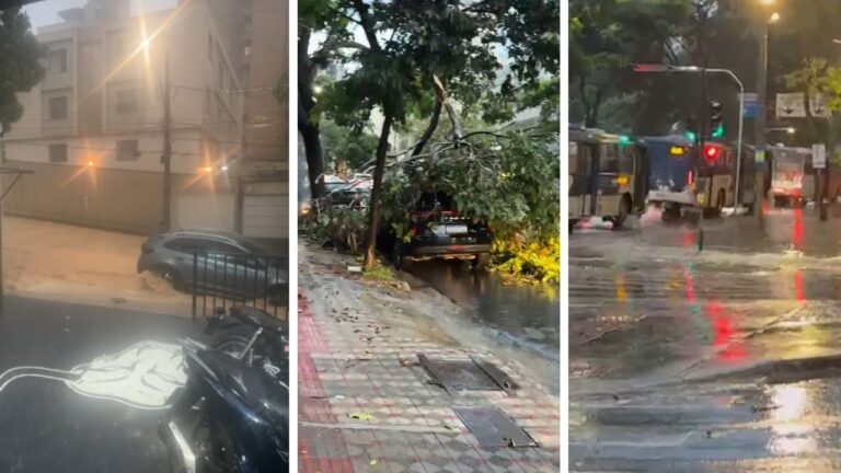 Temporal em Belo Horizonte: Ruas Alagadas e Queda de Árvores