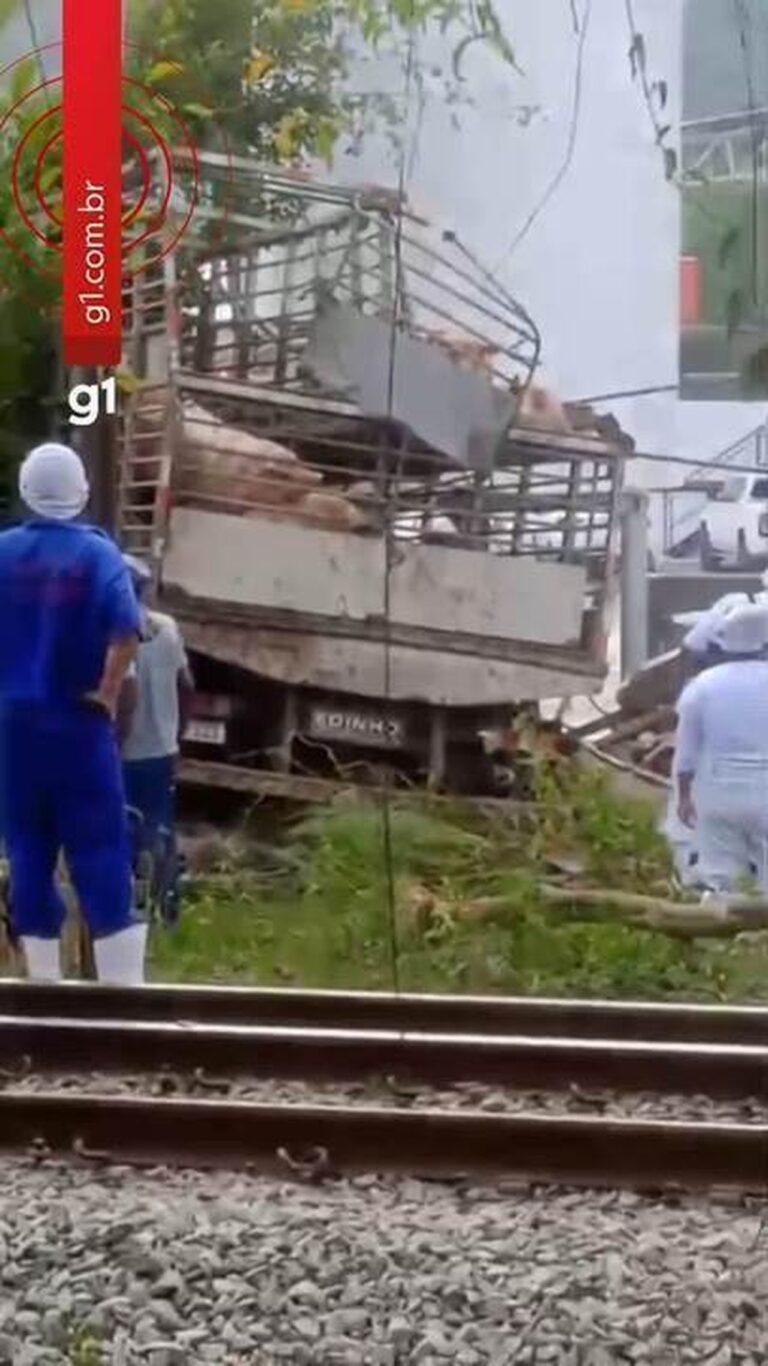 Caminhão com Porcos Capota e Causa Tragédia em São José da Lapa