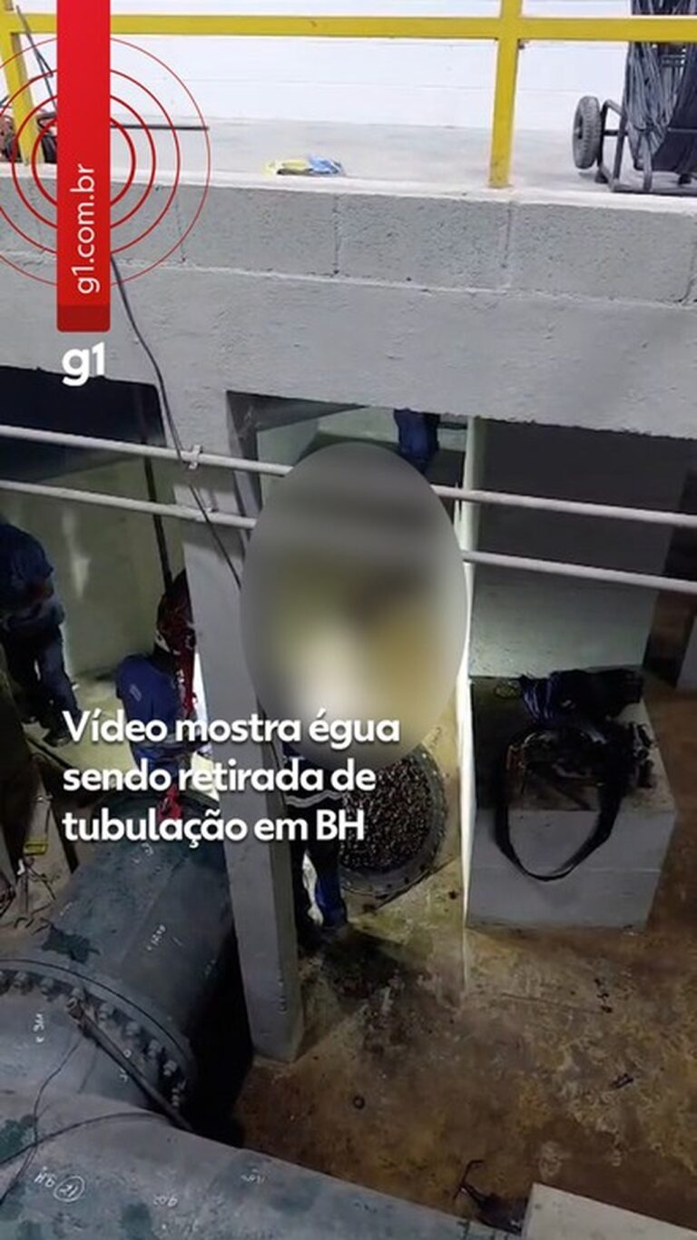 Falta de Água em Belo Horizonte: Queda de Égua Causa Interrupção Abrangente