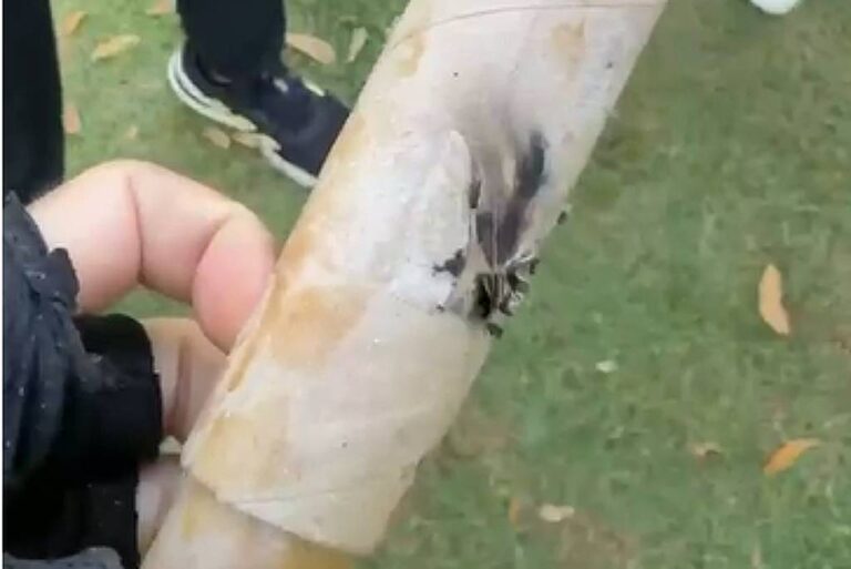 Polícia Investiga Ataques com Fogos de Artifício a Atletas na Lagoa da Pampulha