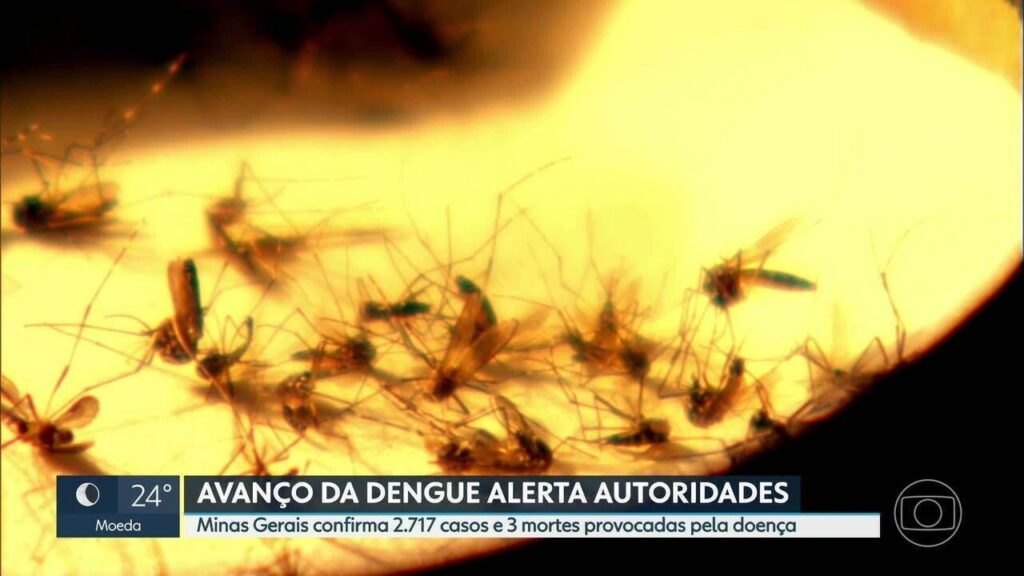 Belo Horizonte registra primeira morte por dengue em 2026 Imagem do artigo