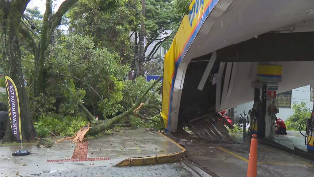 Árvore Desaba sobre Carro em Posto de Combustíveis em Belo Horizonte