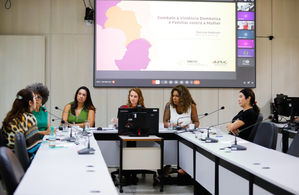 Comissão Analisa Casa da Mulher Brasileira e Estratégias para Combater Feminicídios Comissão Analisa Casa da Mulher Brasileira e Estratégias para Combater Feminicídios