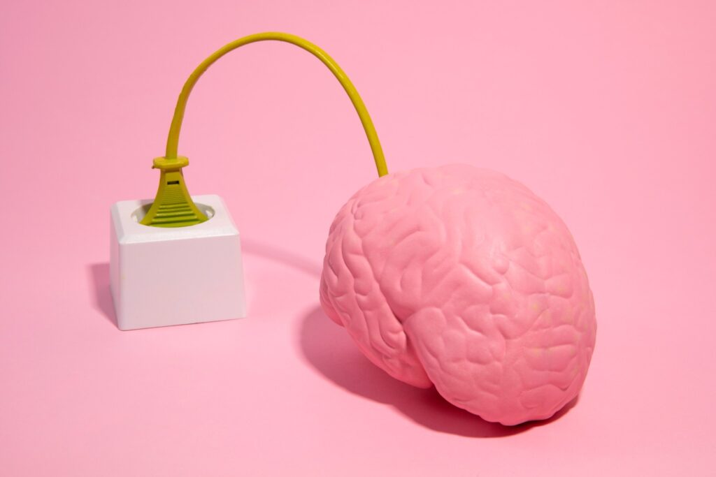 Como Bactérias do Intestino Podem Chegar ao Cérebro e Promover Novas Esperanças Contra o Alzheimer