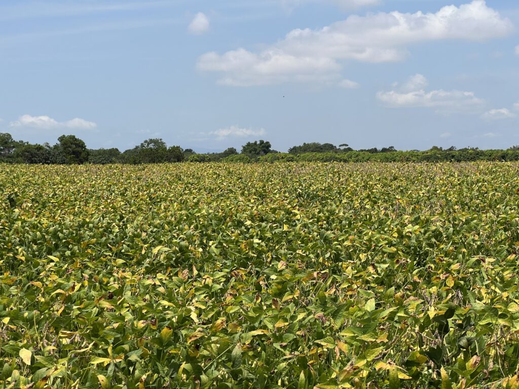 Crescimento do PIB de Minas Gerais em 2025: Alta de 1,4% e Alcance de R$ 1,1 Trilhão