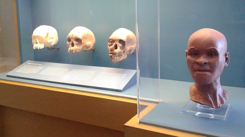 Minas Gerais: Descubra os Fascinantes Achados Pré-históricos da Região Minas Gerais: Descubra os Fascinantes Achados Pré-históricos da Região