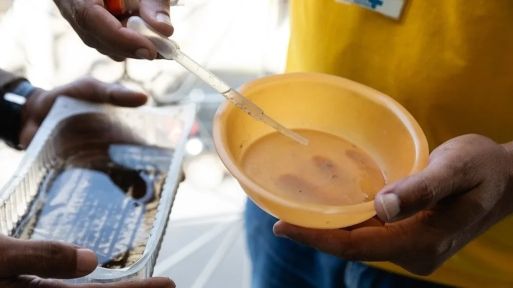 Combate à dengue em Contagem: entenda como os 'wolbitos' transformam a saúde local