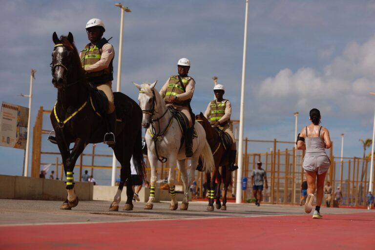 Aumenta a Segurança em Salvador com 70 Cavalos na Operação Verão 2025/26