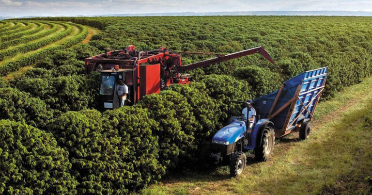 Brasil Registra Menor Desemprego da História e Aumento na Renda do Trabalhador Rural Brasil Registra Menor Desemprego da História e Aumento na Renda do Trabalhador Rural