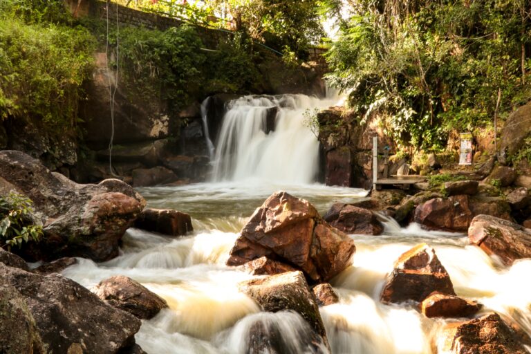 Turismo em Pernambuco: Agreste se Destaca com Alta Taxa de Ocupação no Natal 2025