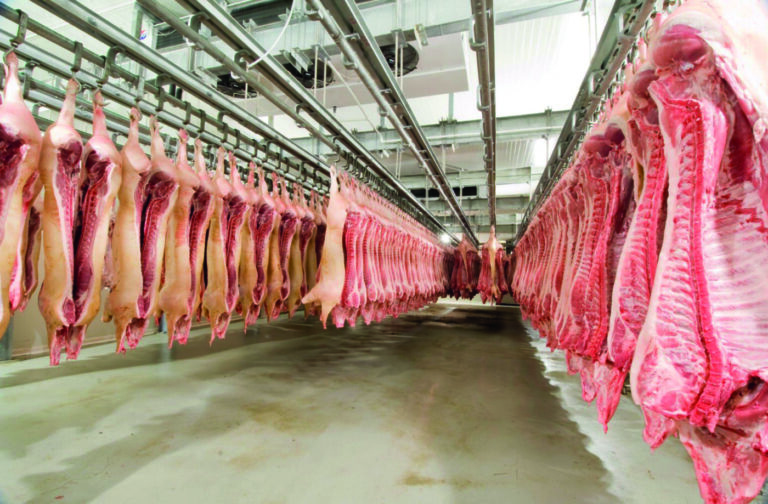 Crescimento da Produção de Carne Suína no Reino Unido: O Impacto do Aumento no Peso das Carcaças Crescimento da Produção de Carne Suína no Reino Unido: O Impacto do Aumento no Peso das Carcaças