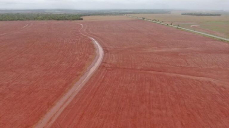 FCO Destina R$ 3,2 Bilhões em Mato Grosso do Sul: 75% Para o Agronegócio FCO Destina R$ 3,2 Bilhões em Mato Grosso do Sul: 75% Para o Agronegócio