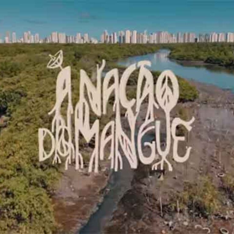 Grande Rio Leva a Energia do Manguebeat ao Carnaval 2026