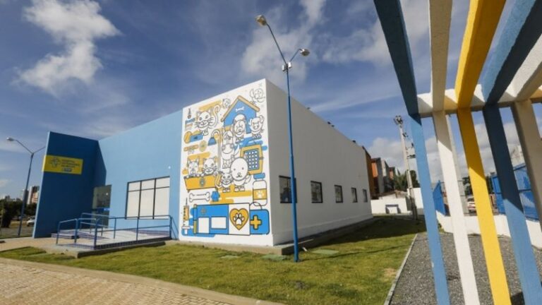 Prefeitura do Recife Lança Seleção para Hospital Veterinário com 23 Vagas Prefeitura do Recife Lança Seleção para Hospital Veterinário com 23 Vagas