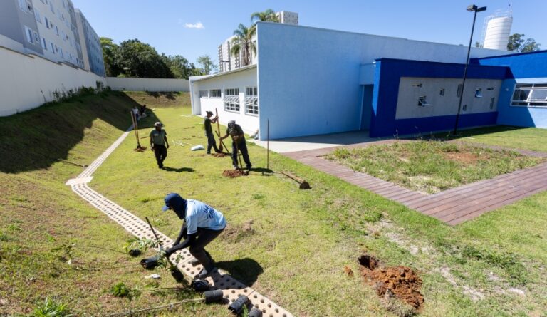 Projeto Brotos de Mogi Inicia Plantio de Mudas em Escola do Botujuru
