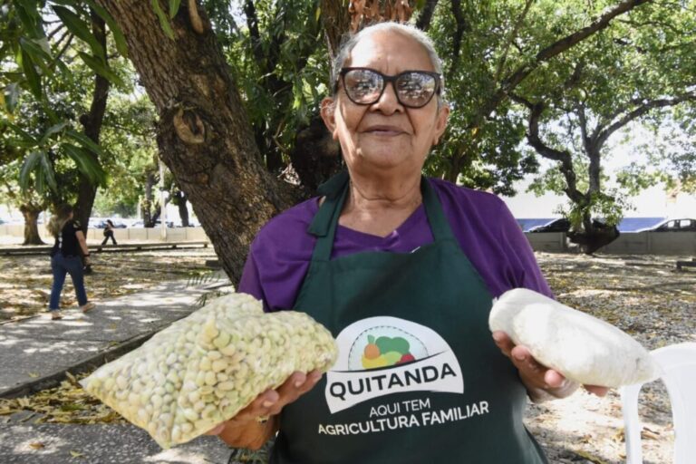 SAF Expande Quitanda da Agricultura Familiar para Novas Cidades do Piauí em 2026 SAF Expande Quitanda da Agricultura Familiar para Novas Cidades do Piauí em 2026