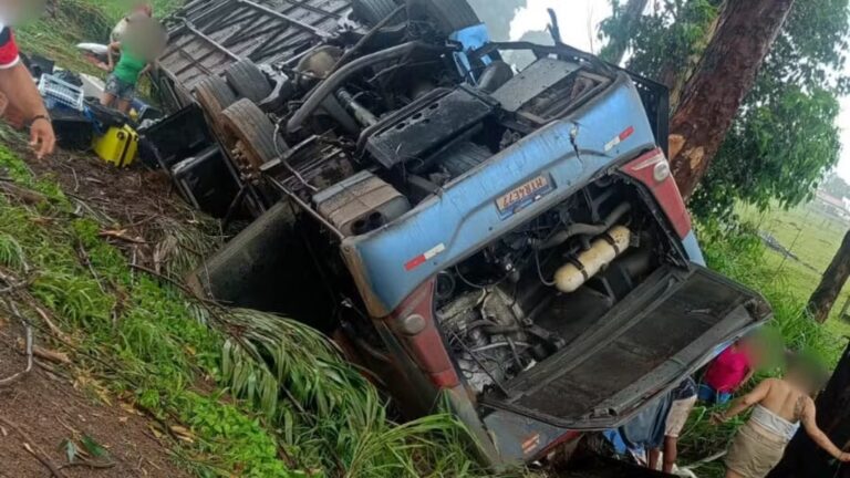 Tragédia na BR-365: Capotamento de ônibus resulta em 3 mortes Tragédia na BR-365: Capotamento de ônibus resulta em 3 mortes