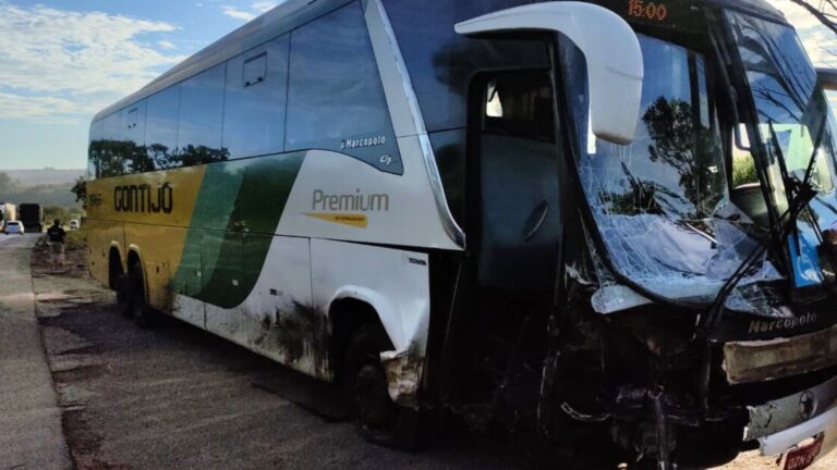 Carro na Contramão Colide com Ônibus na BR-365 e Motorista Fica Ferido