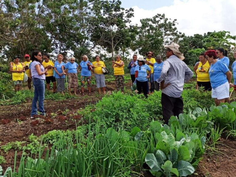 Comunidade de Marreco: Uma Alternativa Sustentável para a Economia de Lagoa do Itaenga Comunidade de Marreco: Uma Alternativa Sustentável para a Economia de Lagoa do Itaenga