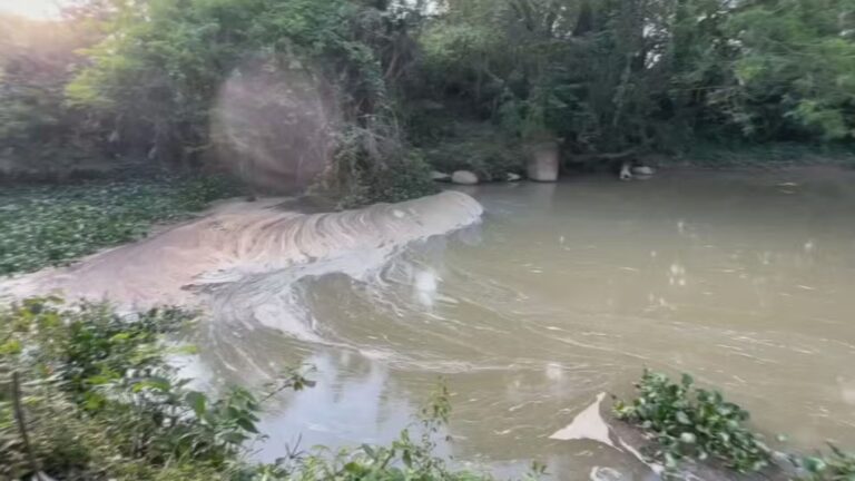 MP-SP solicita multa à SABESP por despejo irregular de esgoto no Rio Pirapora