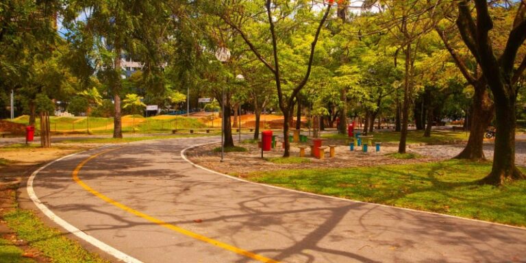 Recife se destaca com cinco vezes mais árvores do que o recomendado, reduzindo temperatura em 3°C Recife se destaca com cinco vezes mais árvores do que o recomendado, reduzindo temperatura em 3°C