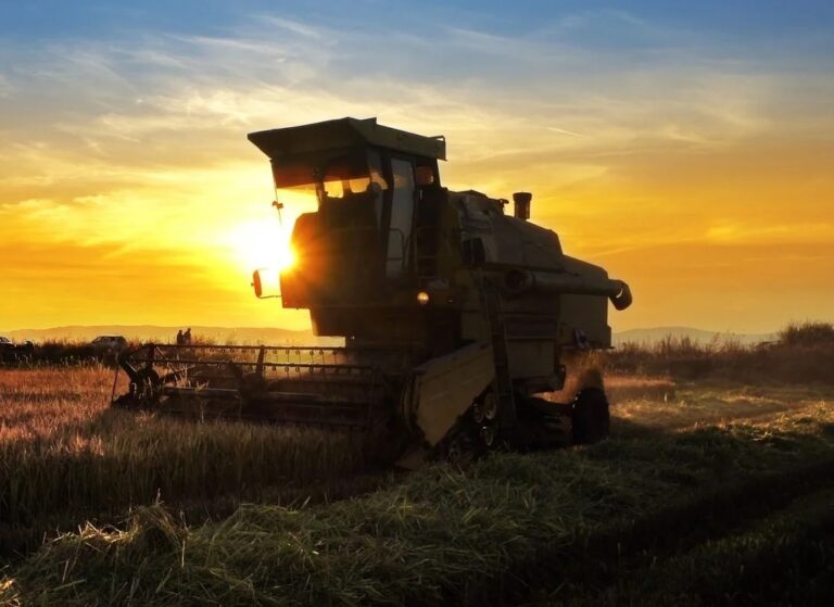 Crescimento de 11,7% do PIB Agropecuário em 2025 Destaca Força do Setor