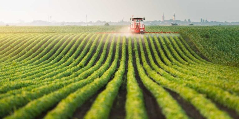 Mercado de Defensivos Agrícolas: Expectativa de Crescimento de 8% na Safra 2025/26