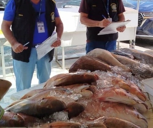 Preços de pescados na Páscoa em Pernambuco: variações de até 217% Preços de pescados na Páscoa em Pernambuco: variações de até 217%