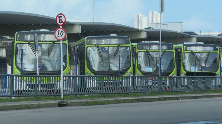 Transporte Gratuito nas Eleições de 2026: Grande Recife se Prepara para Facilitar o Voto