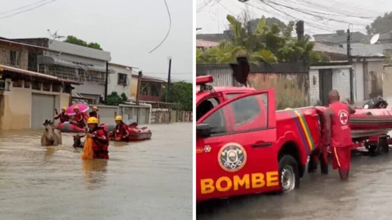 Chuvas Devastadoras em Pernambuco e Paraíba: Seis Mortos e Milhares Afetados Chuvas Devastadoras em Pernambuco e Paraíba: Seis Mortos e Milhares Afetados