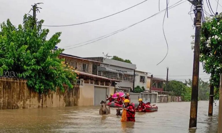 Chuvas em Pernambuco: Seis Mortos e Mais de 2,6 Mil Desabrigados Chuvas em Pernambuco: Seis Mortos e Mais de 2,6 Mil Desabrigados