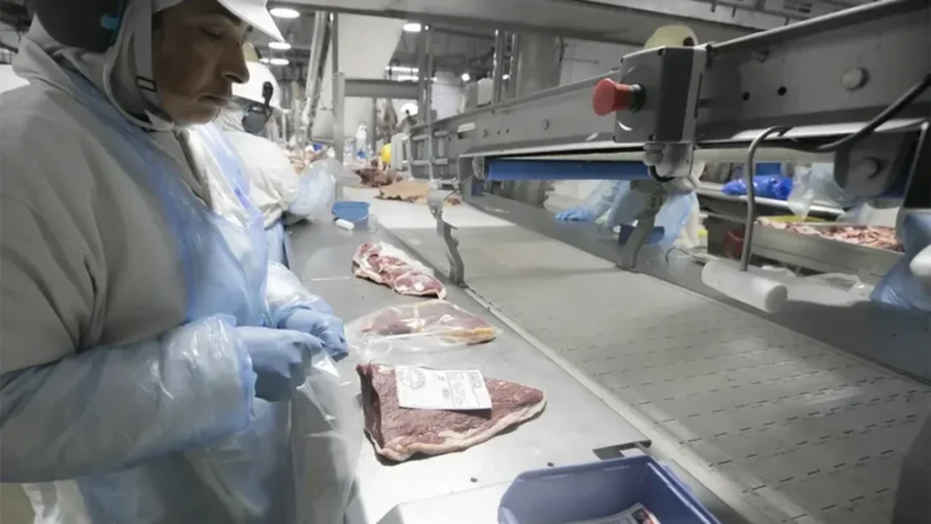 Indústria de alimentos e bebidas do Paraná investe em tecnologia para crescer