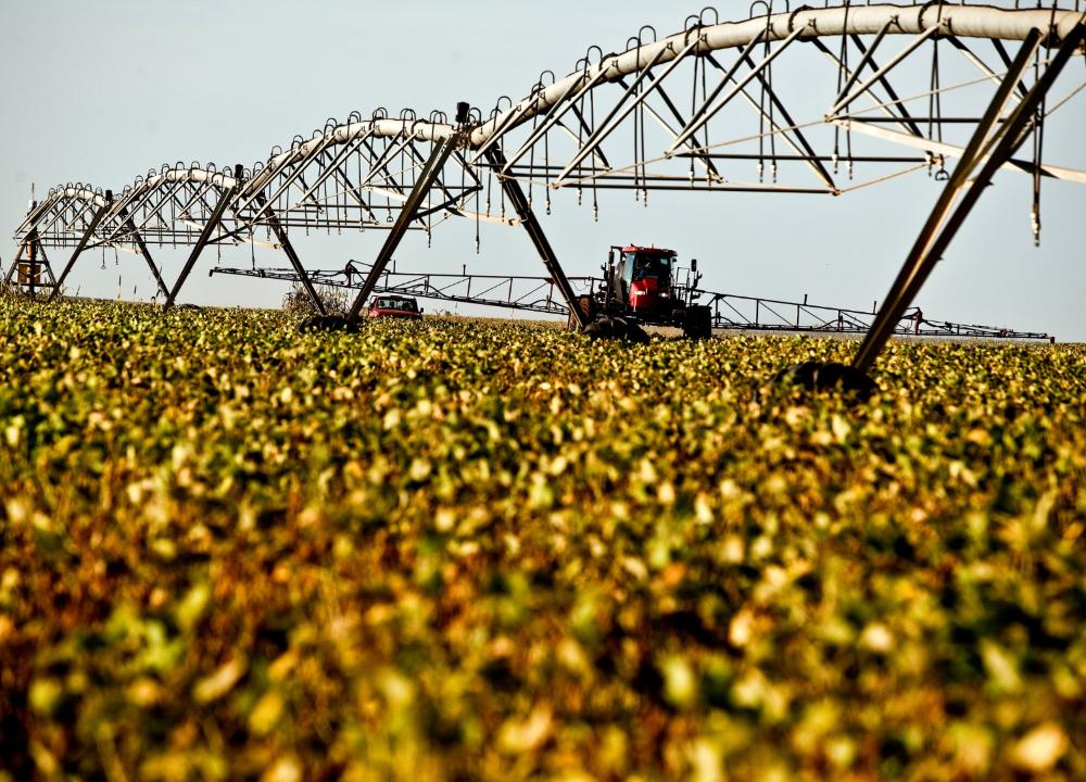 A Crise do Agronegócio: A Necessidade de Gestão de Risco e Responsabilidade Imagem do artigo