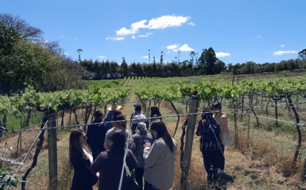 Turismo Rural em São José do Norte: Visita Técnica Fortalece Programas Locais Imagem do artigo
