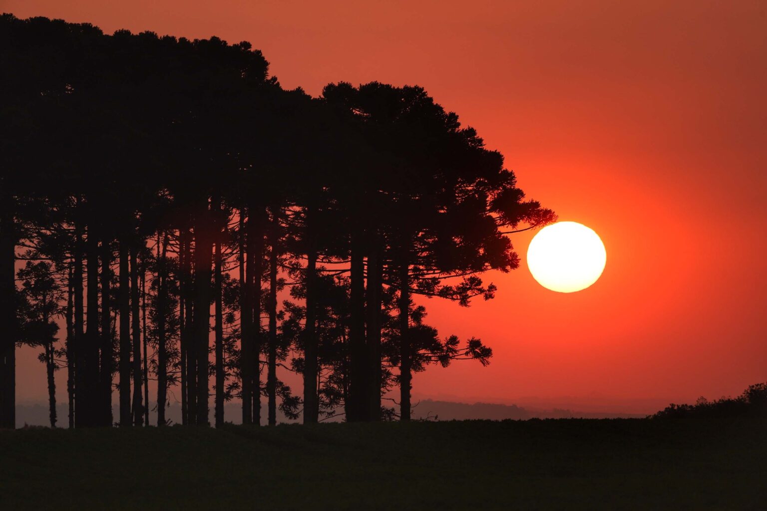 Verão no Paraná: Expectativa de chuvas intensas e calor acima da média