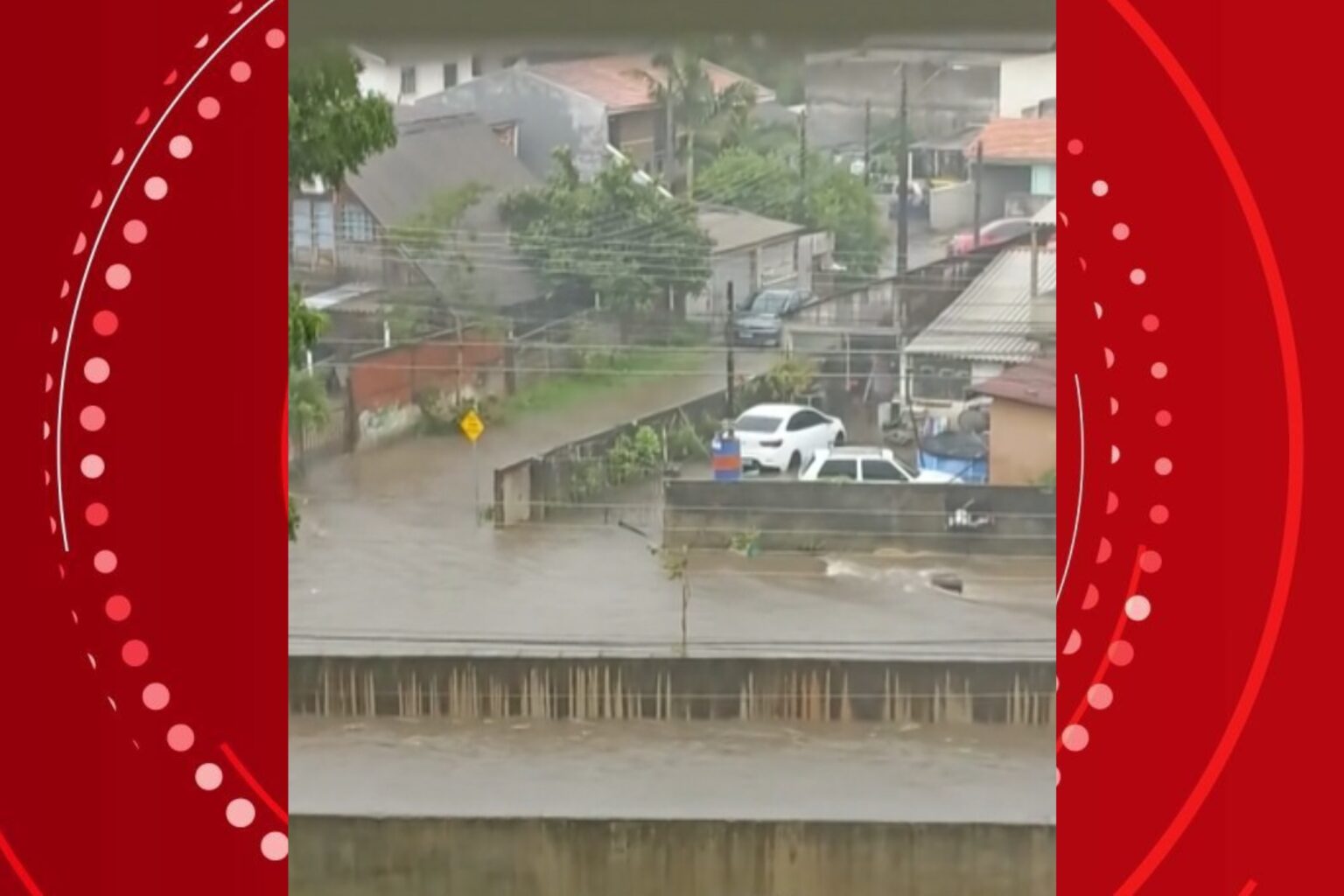 Alagamentos e Queda de Árvores em Curitiba: A Força da Chuva em 14 de Novembro