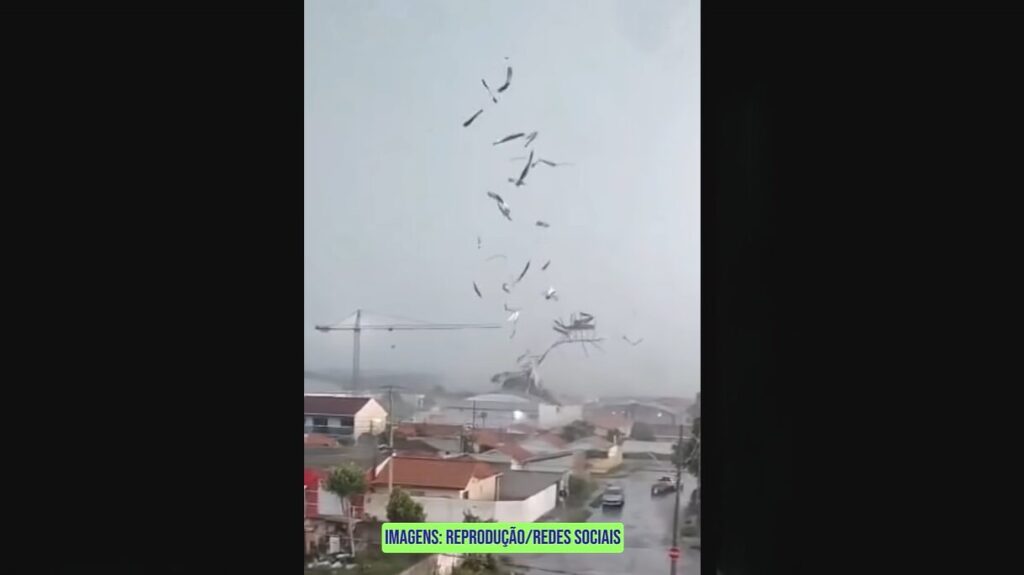 Tornado Devasta São José dos Pinhais: Ventos Fortes Causam Destruição Tornado Devasta São José dos Pinhais: Ventos Fortes Causam Destruição
