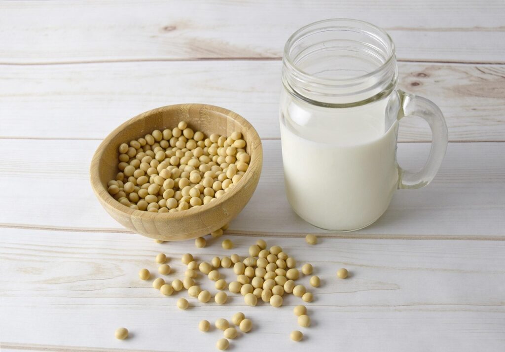 Bebidas Vegetais: Setor Busca Igualdade Tributária Após Veto de Lula Bebidas Vegetais: Setor Busca Igualdade Tributária Após Veto de Lula