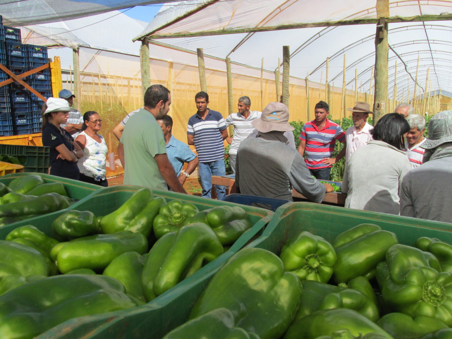 Inscrições Abertas para Curso Gratuito de Gestão no Agronegócio da Emater-DF