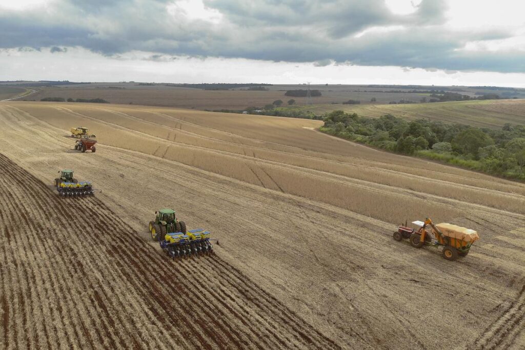 Paraná: Safra Recorde de Soja Pode Chegar a 22 Milhões de Toneladas em 2025 Paraná: Safra Recorde de Soja Pode Chegar a 22 Milhões de Toneladas em 2025