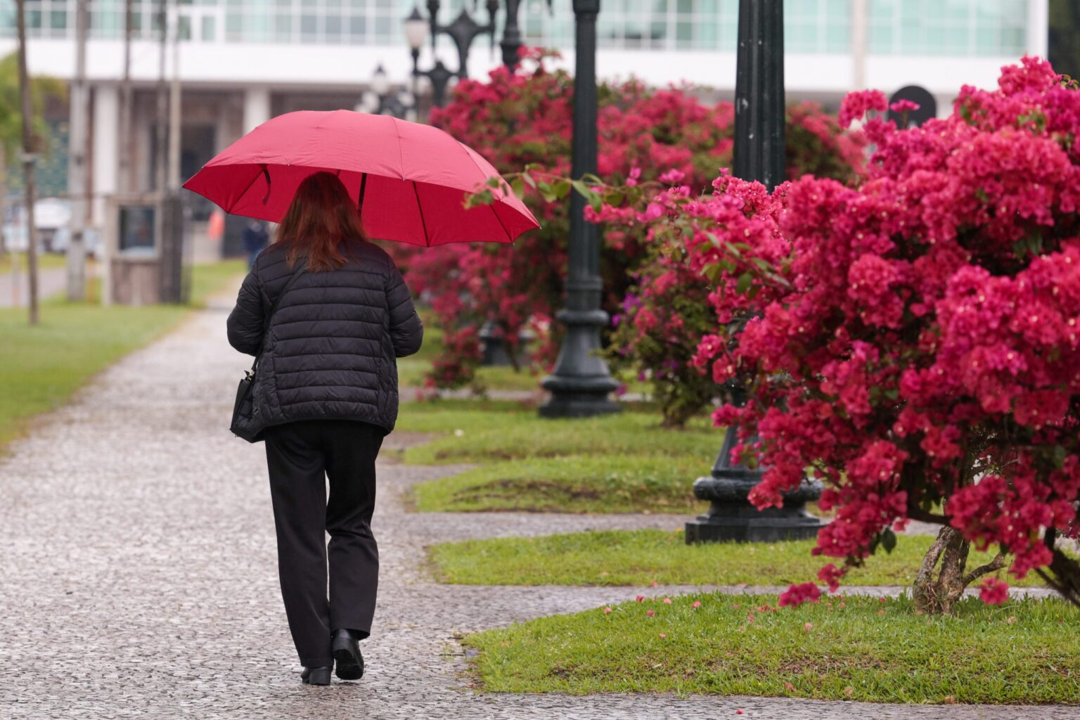 Previsão do Tempo para Este Domingo (08) no Paraná: Clima Agradável e Chuvas Pontuais