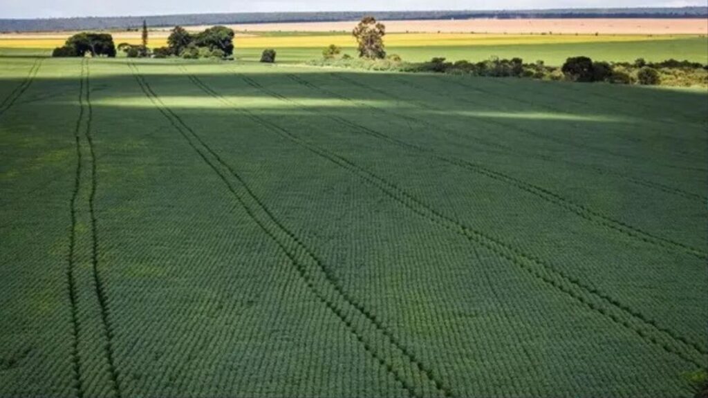 Conflito Internacional Aumenta a Tensão no Agronegócio da Bahia
