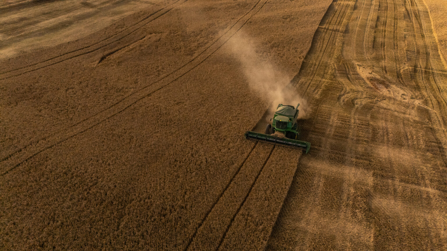 Crescimento e Desafios da Produção de Cevada no Brasil