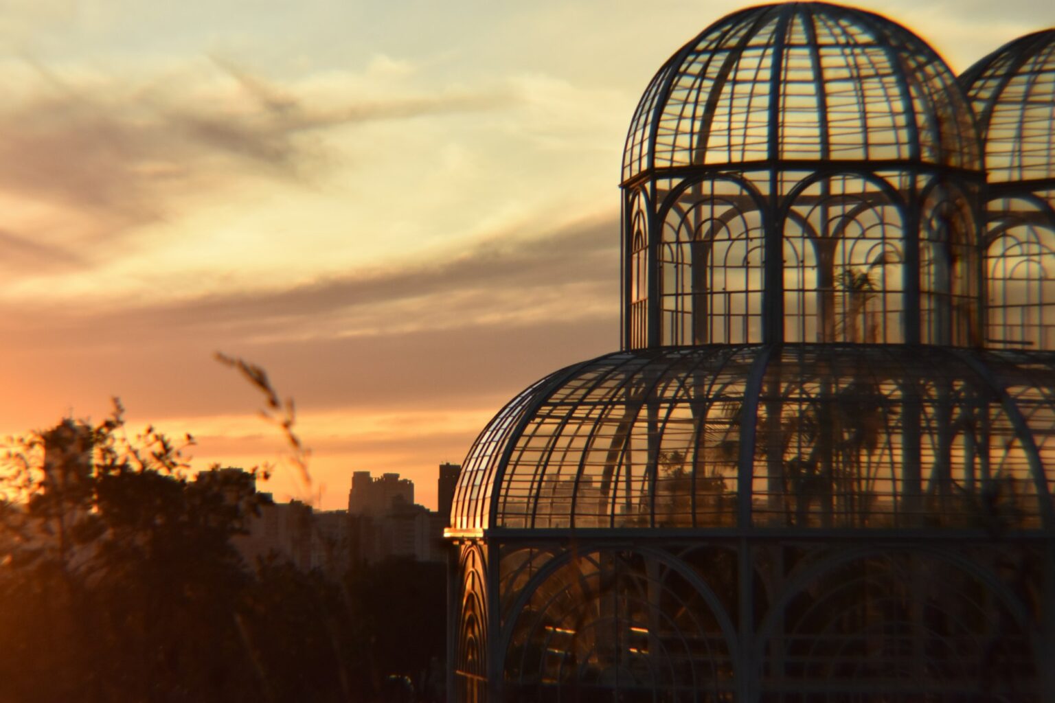 Curitiba Oferece Programa Especial para Mulheres Nesta Quinta-Feira